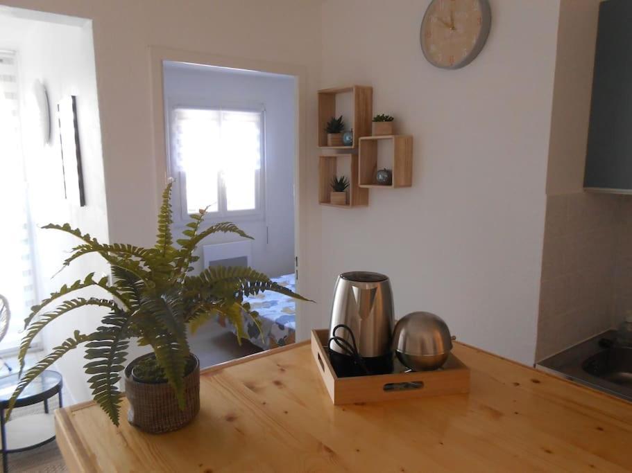 Appartement A La Plage Argelès-sur-Mer Exteriör bild